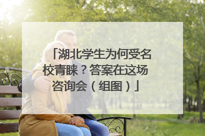 湖北学生为何受名校青睐？答案在这场咨询会（组图）