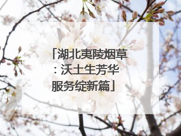 湖北夷陵烟草：沃土生芳华 服务绽新篇