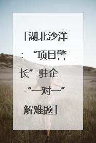 湖北沙洋：“项目警长”驻企 “一对一”解难题