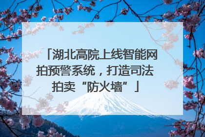 湖北高院上线智能网拍预警系统，打造司法拍卖“防火墙”