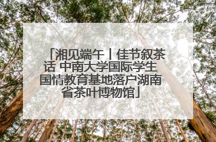 湘见端午丨佳节叙茶话 中南大学国际学生国情教育基地落户湖南省茶叶博物馆