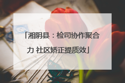 湘阴县：检司协作聚合力 社区矫正提质效