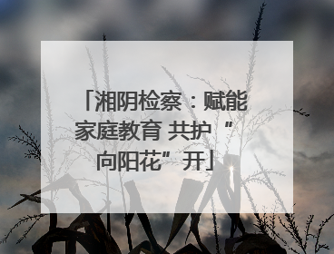 湘阴检察：赋能家庭教育 共护“向阳花”开