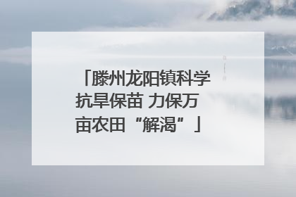 滕州龙阳镇科学抗旱保苗 力保万亩农田“解渴”