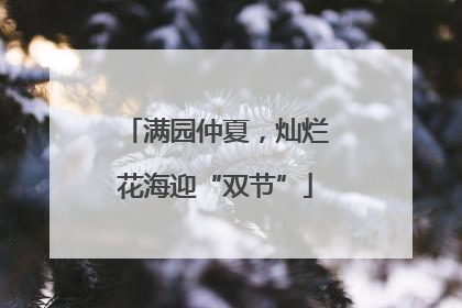满园仲夏，灿烂花海迎“双节”