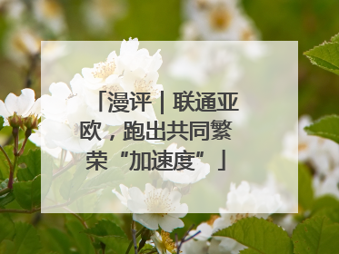漫评｜联通亚欧，跑出共同繁荣“加速度”