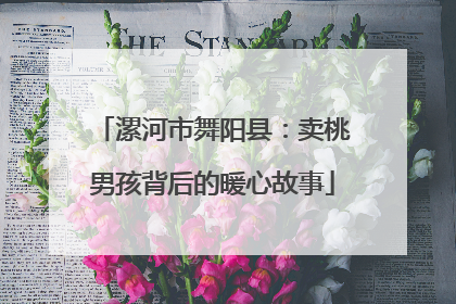 漯河市舞阳县：卖桃男孩背后的暖心故事