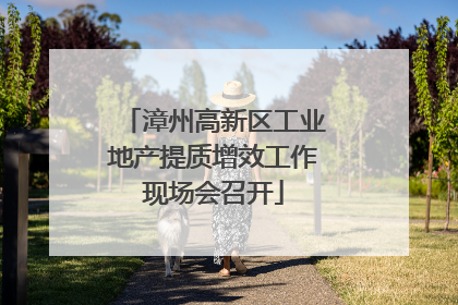 漳州高新区工业地产提质增效工作现场会召开