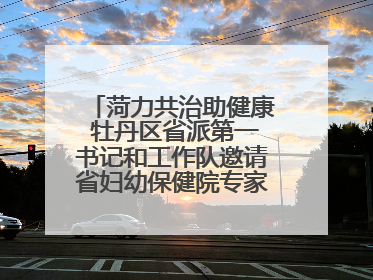 菏力共治助健康 牡丹区省派第一书记和工作队邀请省妇幼保健院专家开展义诊活动