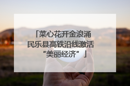 菜心花开金浪涌 民乐县高铁沿线激活“美丽经济”