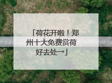 荷花开啦！郑州十大免费赏荷好去处→