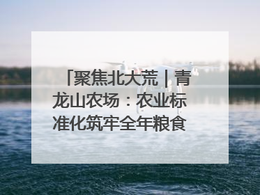 聚焦北大荒｜青龙山农场：农业标准化筑牢全年粮食安全根基