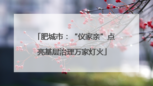 肥城市：“仪家亲”点亮基层治理万家灯火