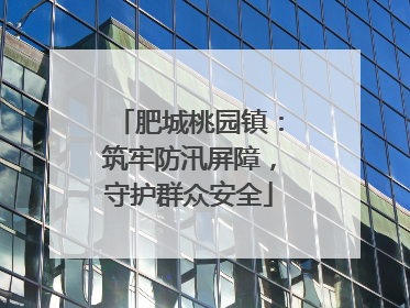 肥城桃园镇：筑牢防汛屏障，守护群众安全