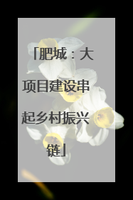 肥城：大项目建设串起乡村振兴链