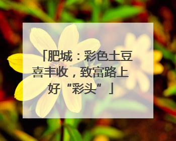 肥城：彩色土豆喜丰收，致富路上好“彩头”