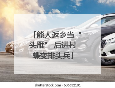 能人返乡当“头雁” 后进村蝶变排头兵
