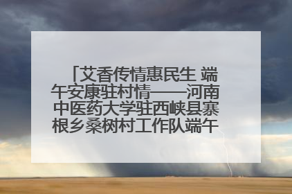 艾香传情惠民生 端午安康驻村情——河南中医药大学驻西峡县寨根乡桑树村工作队端午中医惠民记