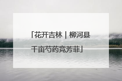 花开吉林｜柳河县千亩芍药竞芳菲