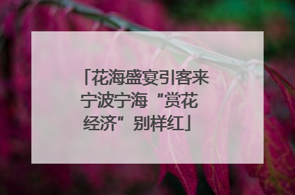 花海盛宴引客来 宁波宁海“赏花经济”别样红