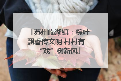 苏州临湖镇：粽叶飘香传文明 村村有“戏”树新风