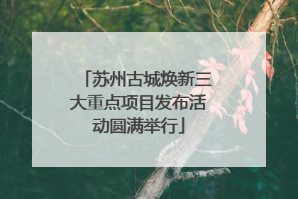 苏州古城焕新三大重点项目发布活动圆满举行