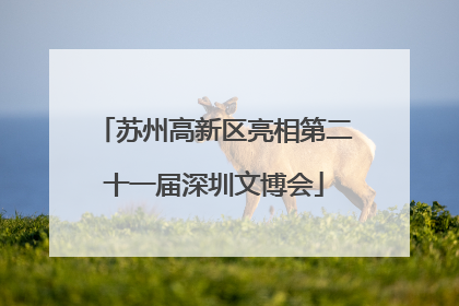 苏州高新区亮相第二十一届深圳文博会