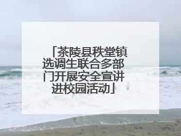 茶陵县秩堂镇选调生联合多部门开展安全宣讲进校园活动