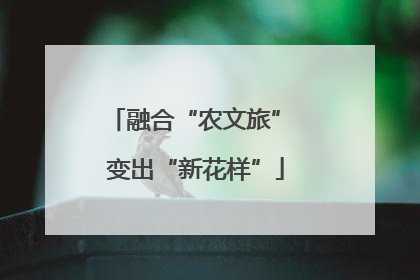 融合“农文旅” 变出“新花样”