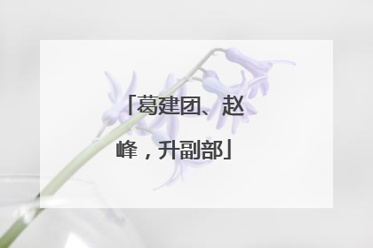 葛建团、赵峰，升副部