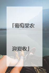 葡萄果农迎夏收