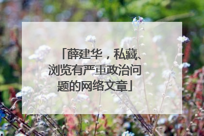 薛建华，私藏、浏览有严重政治问题的网络文章