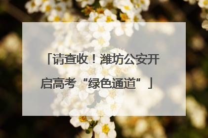 请查收！潍坊公安开启高考“绿色通道”