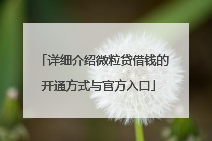 详细介绍微粒贷借钱的开通方式与官方入口