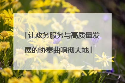 让政务服务与高质量发展的协奏曲响彻大地