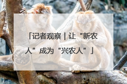 记者观察｜让“新农人”成为“兴农人”