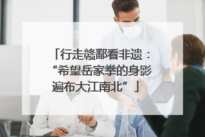 行走赣鄱看非遗：“希望岳家拳的身影遍布大江南北”