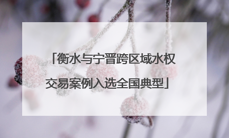 衡水与宁晋跨区域水权交易案例入选全国典型