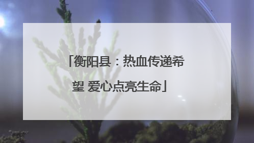 衡阳县：热血传递希望 爱心点亮生命