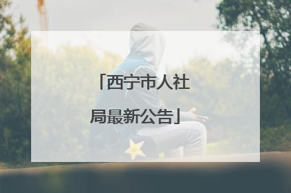 西宁市人社局最新公告