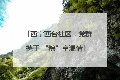 西宁西台社区：党群携手 “粽”享温情