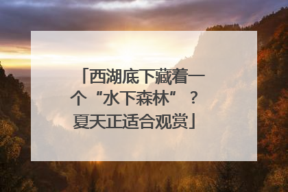 西湖底下藏着一个“水下森林”？夏天正适合观赏
