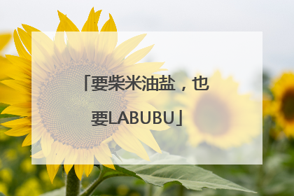 要柴米油盐，也要LABUBU