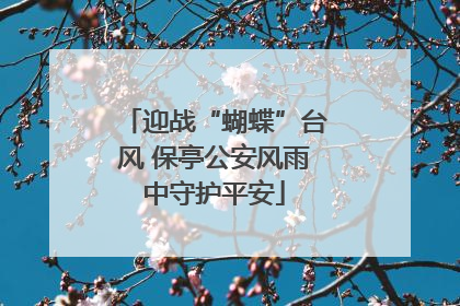 迎战“蝴蝶”台风 保亭公安风雨中守护平安