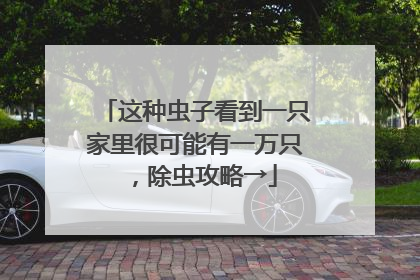 这种虫子看到一只家里很可能有一万只，除虫攻略→