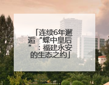 连续6年邂逅“蝶中皇后”：福建永安的生态之约