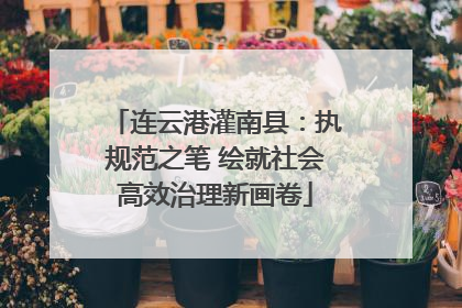 连云港灌南县：执规范之笔 绘就社会高效治理新画卷