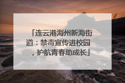 连云港海州新海街道：禁毒宣传进校园，护航青春助成长