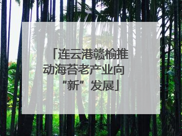 连云港赣榆推动海苔老产业向“新”发展