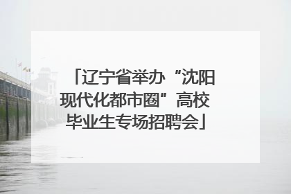 辽宁省举办“沈阳现代化都市圈”高校毕业生专场招聘会